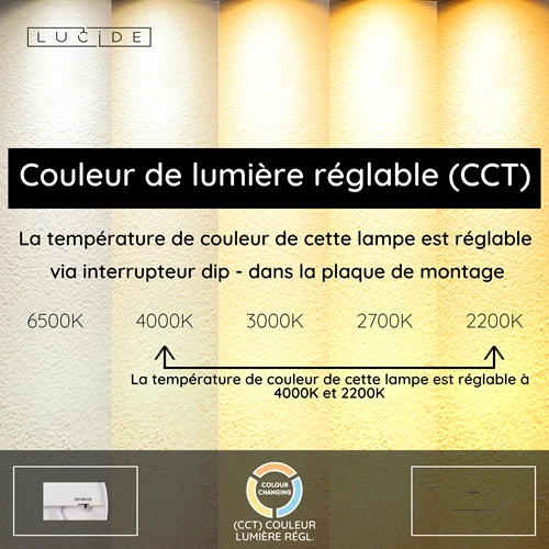 Lucide FELSTED - Suspension - LED Dim. - CCT - 1x28W 2200K/4000K - Noir | Vibes - USP